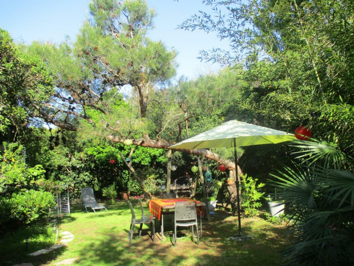 Jardin Et Bambous, Studio Cosy, Classe 2 Etoiles 마르세이앙 외부 사진
